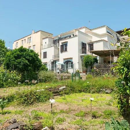 Dei Sogni - Ponte Apart-hotel Ísquia