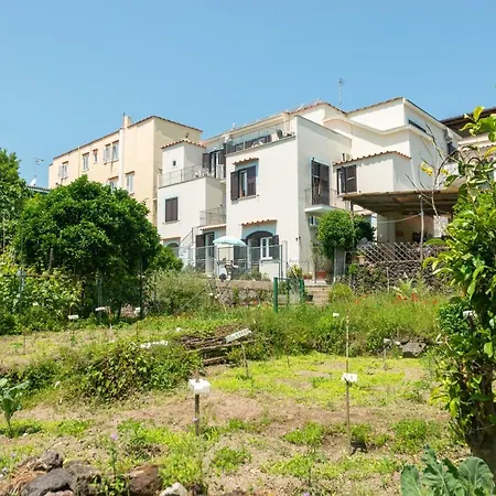 Dei Sogni Aparthotel Ischia